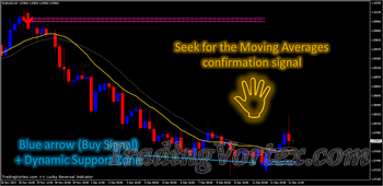 Lucky Reversal Indicator - Buy Example - Blue arrow and Dynamic Support Zone