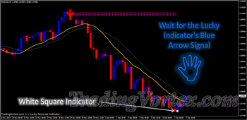 Lucky Reversal Indicator - Buy Example - White Square Alert